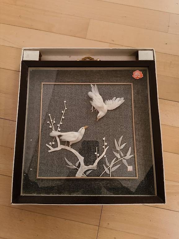 Foto & Immagini: Bild Vögel / Möwen 3D Lebendes Bild – Usato da Oberuzwil venduto da amar025