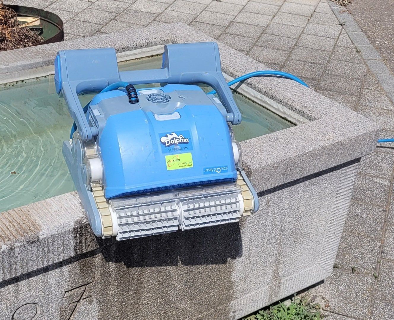 Dolphin Schwimmbad-Zubehör: Poolroboter Dolphin M5 mit Kabel und Filter – Gebraucht aus Russikon von proxilia