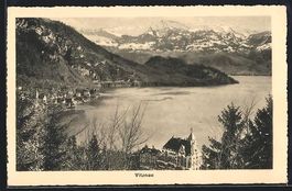 Vitznau, Ortsansicht aus der Vogelschau,
