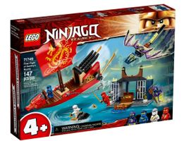 71749 Flug mit dem Ninja-Flugsegler