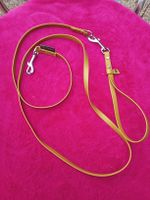 Leine, Farbe gold, Swiss Paracord