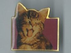 Plaquettes & Badges: Katze, Pin – D'occasion à Zürich par t24_de
