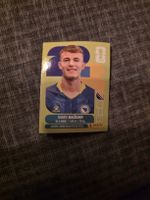 Panini WM 2026 BIH 19 Bazdar