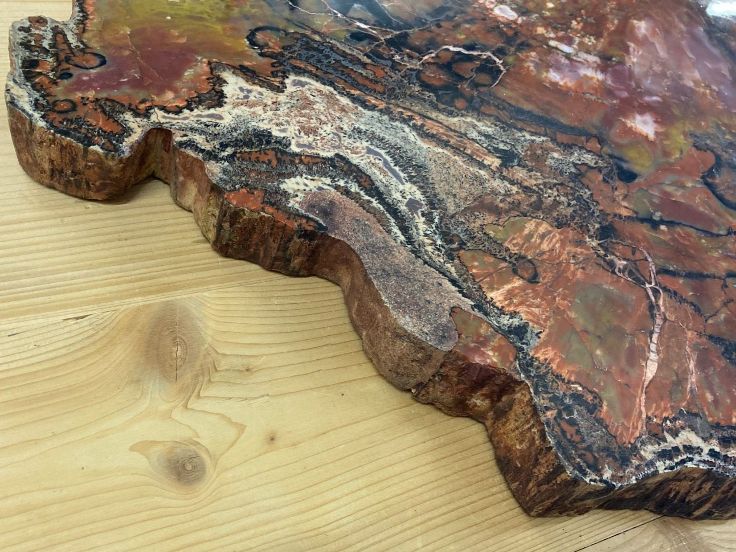 Mineralien & Heilsteine: WUNDERSCHÖNE VERSTEINERTE  HOLZ - SCHEIBE  27,25 KILO – Neu und originalverpackt aus Aesch ZH von LiquidAktion 8