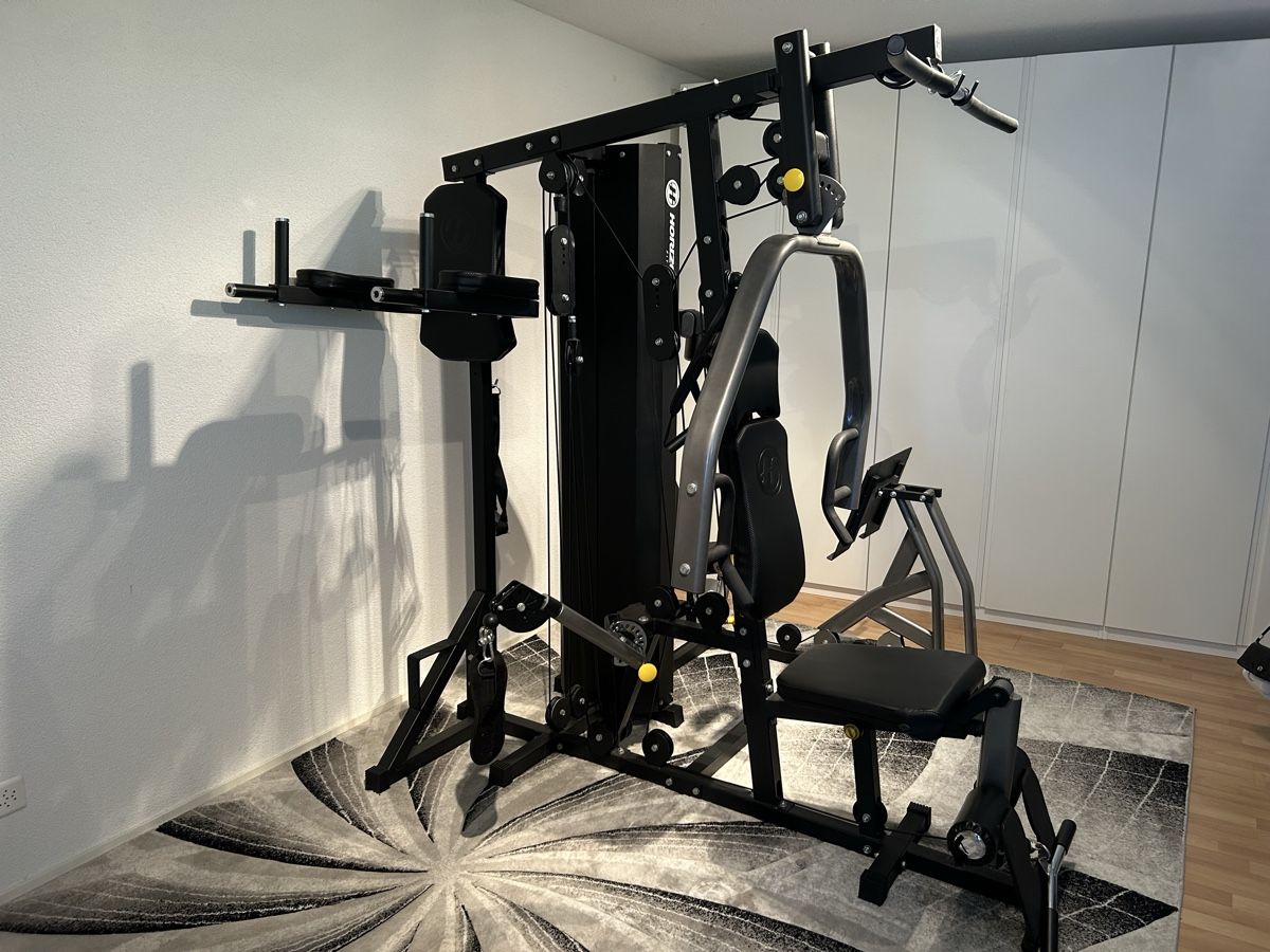Horizon Hometrainer: Kraftstation Horizon Torus 5 – Usato da Bellach venduto da amc1 3