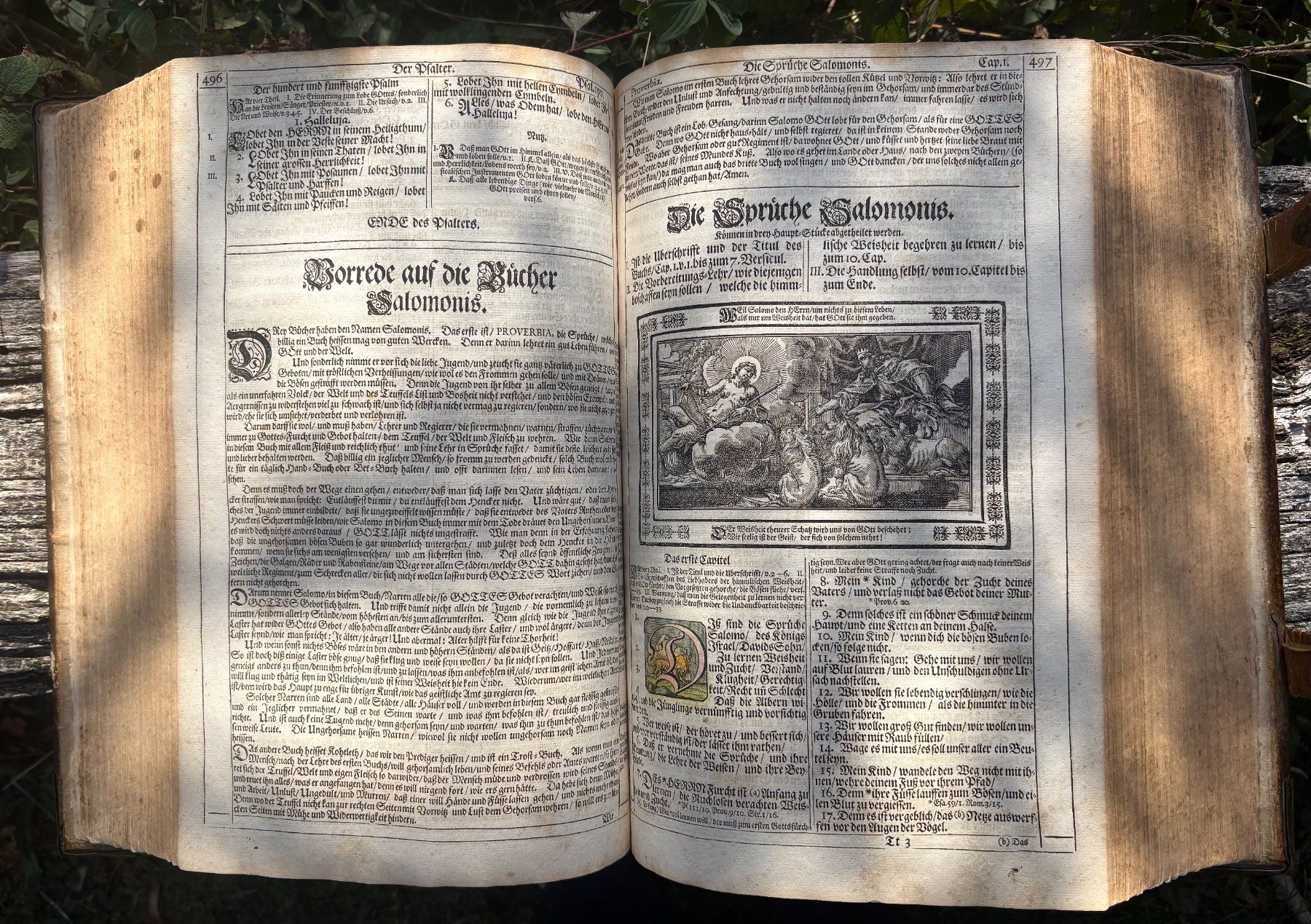 Bücher: Endterische Holzschnitt-Bibel – Gebraucht aus Stüsslingen von Ideur1 5