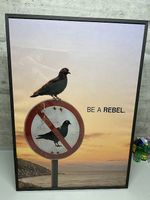 Bild "BE A REBEL" Chris Bellini