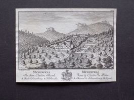 Mayenfels Pratteln selten