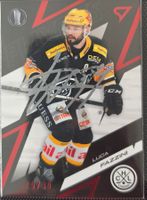Luca Fazzini sportzoo HC Lugano