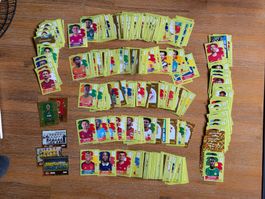 Panini WM 2026 350 x Sticker / Bündel FIFA