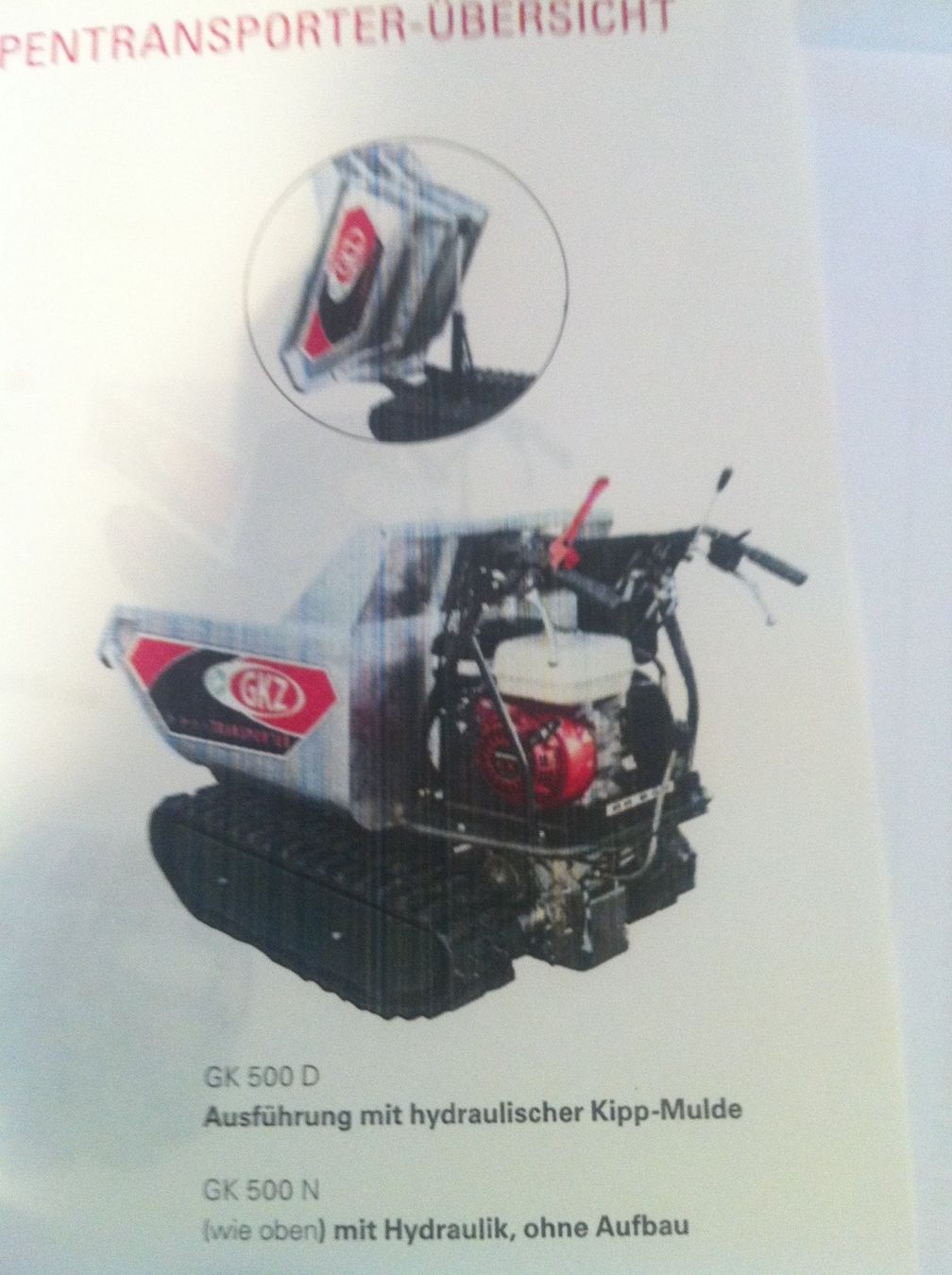 Veicoli commerciali: Raupentransporter – Usato da Ibach venduto da garagebuerglergmbh 1