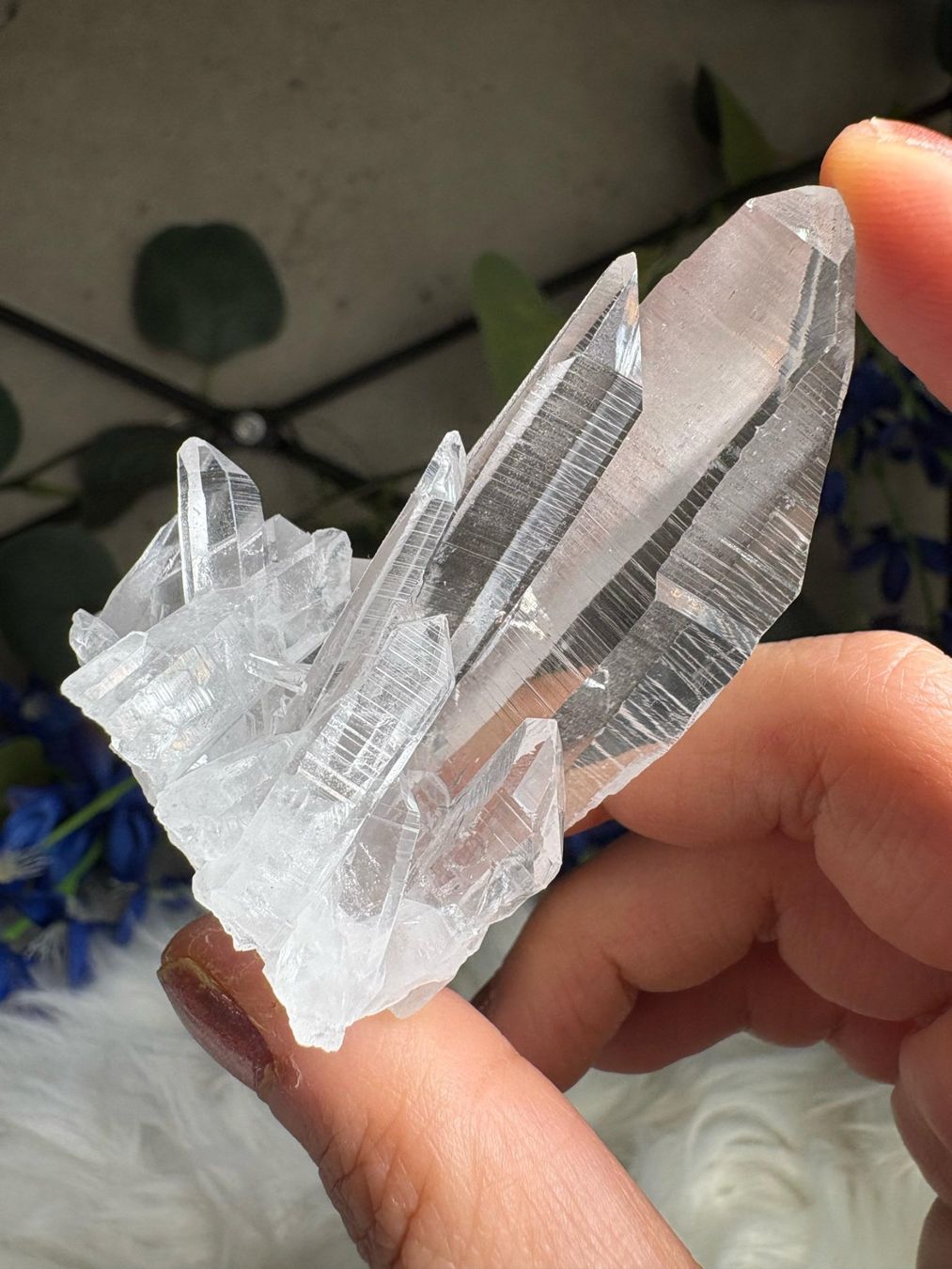 Minerali & Pietre curative: Kolumbianischer Lemurian-Quarz-Cluster – Nuovo (secondo la descrizione) da Neuheim venduto da m.hald 2