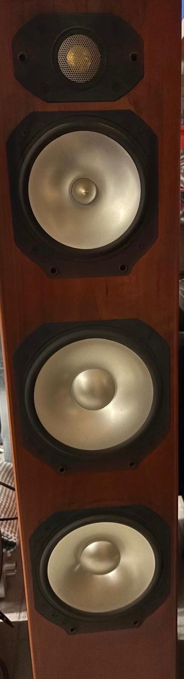 Monitor Audio Casse acustiche: Monitor Audio Standlautsprecher Silver S10 – Usato da Zürich venduto da tinde 6