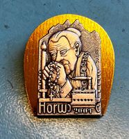 Fasnacht Plakette Gold Horw 2001