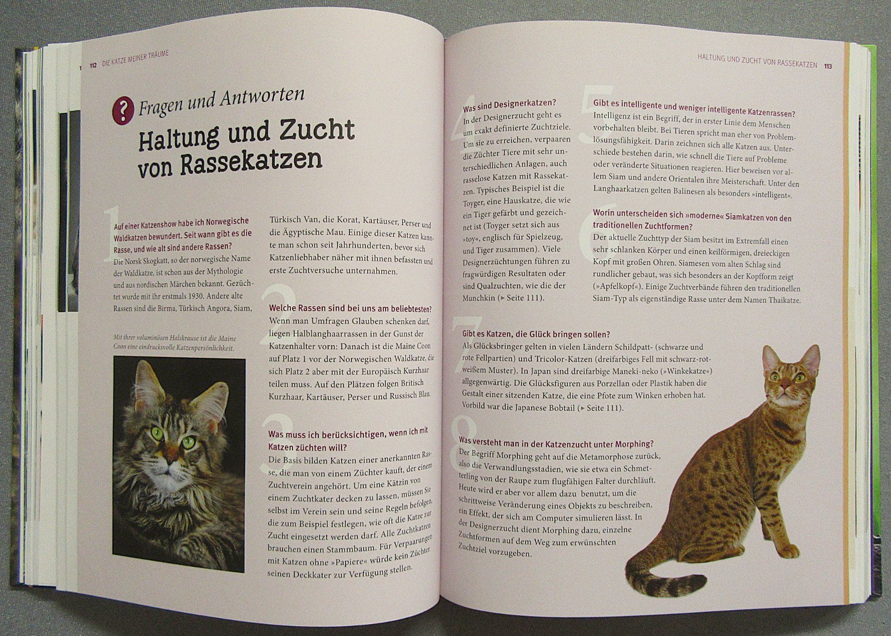 Bücher: Katzen - Das grosse Praxishandbuch - GU – Gebraucht aus Auenstein von Padabimbim 5
