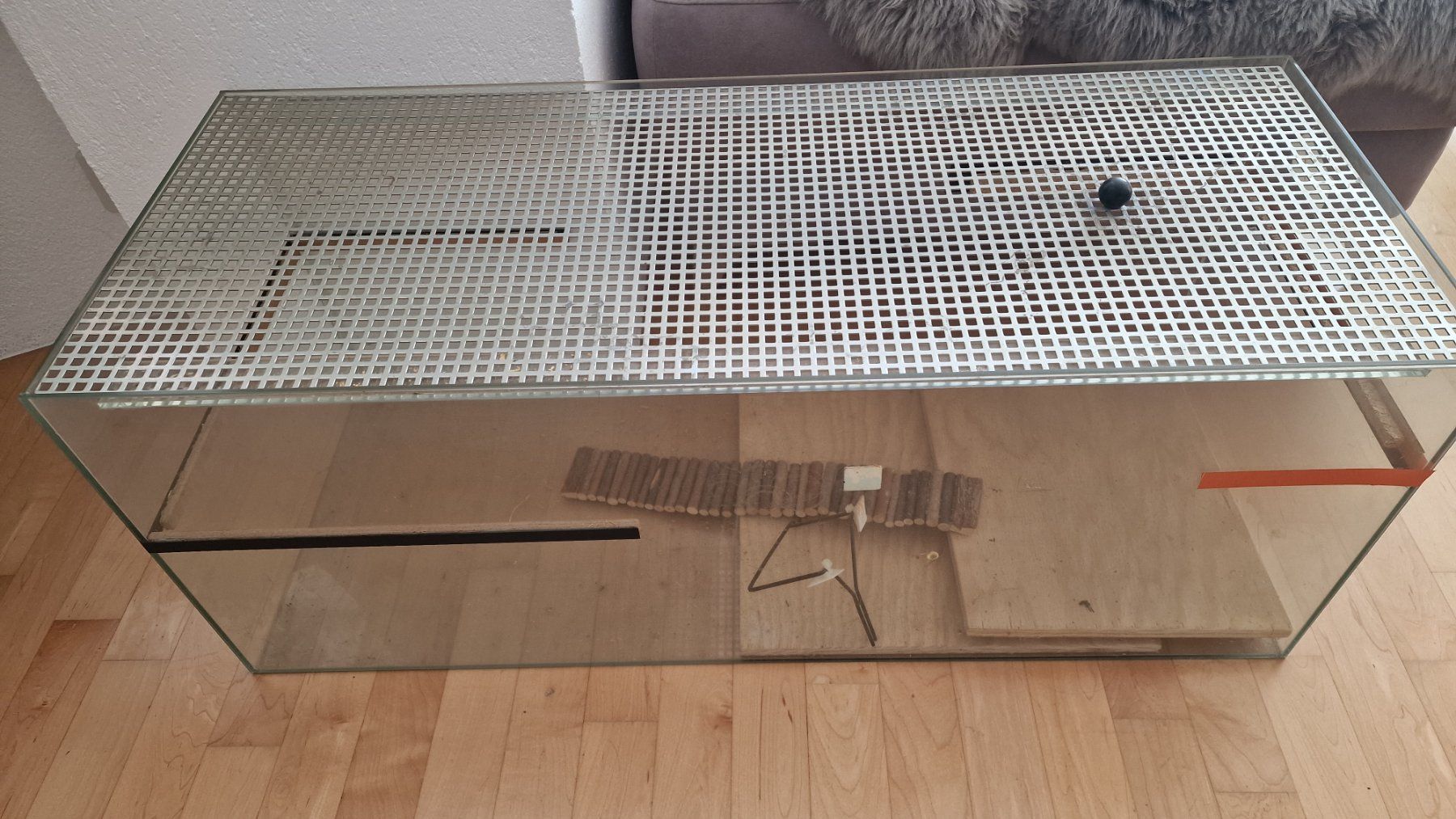 Terrario: Nagerterrarium aus Glas mit Gitterabdeckung – Usato da Weisslingen venduto da and-lo73 3