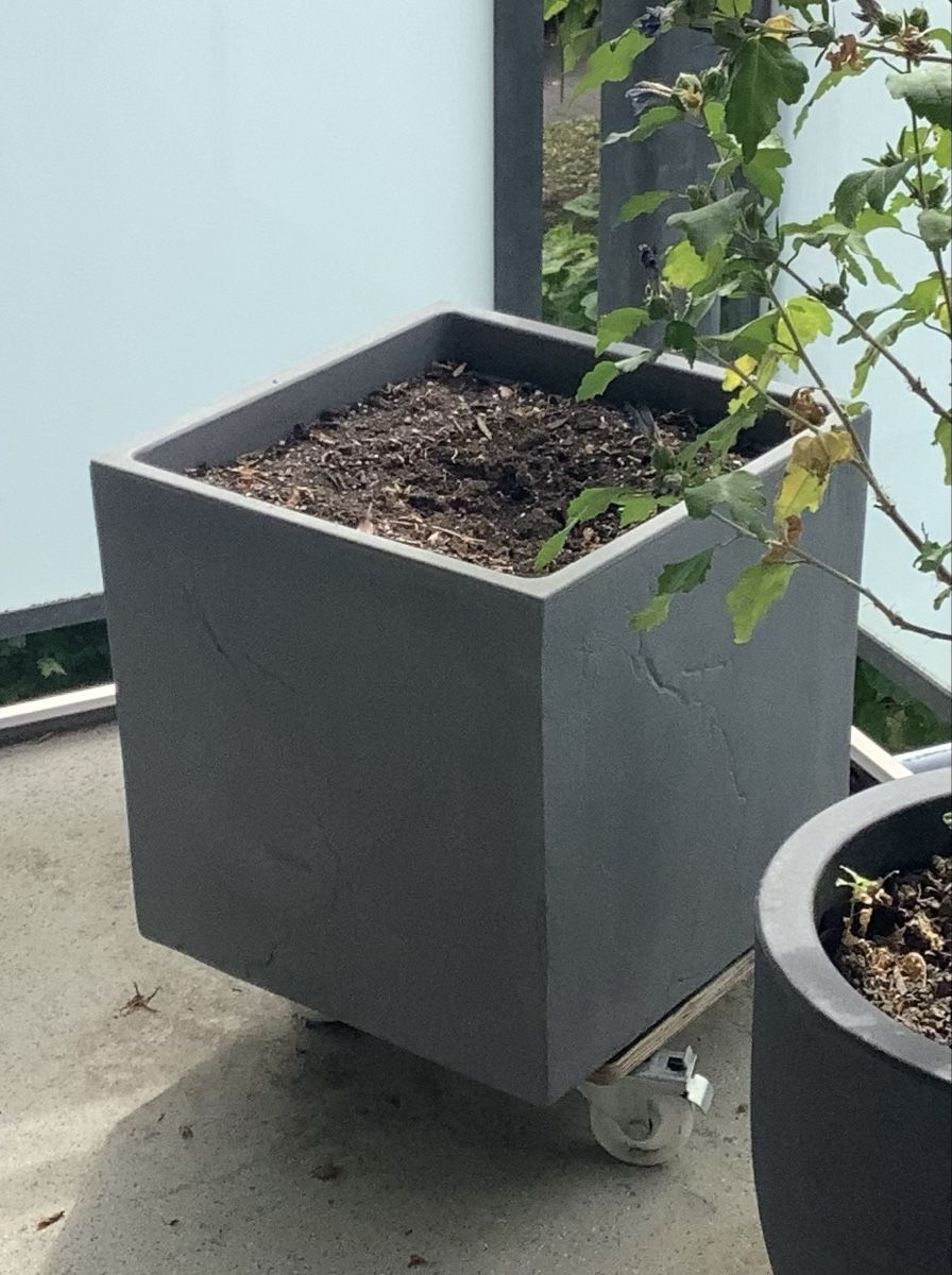 Vasi per fiori: Töpfe  – Usato da Seuzach venduto da 68canada
