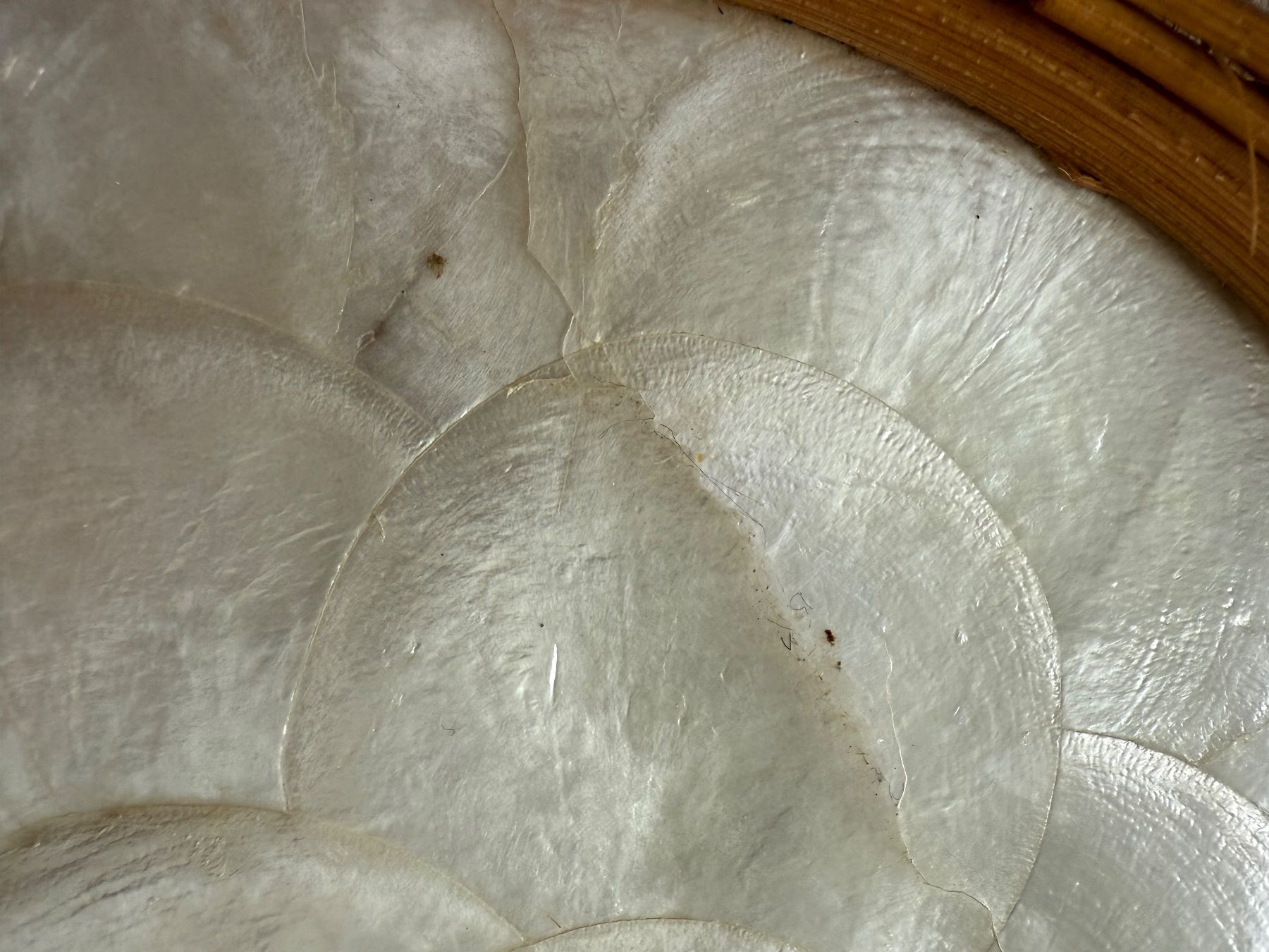 Piatti di portata: Midcentury Muscheltablett – Usato da Luzern venduto da Mamutpe 2