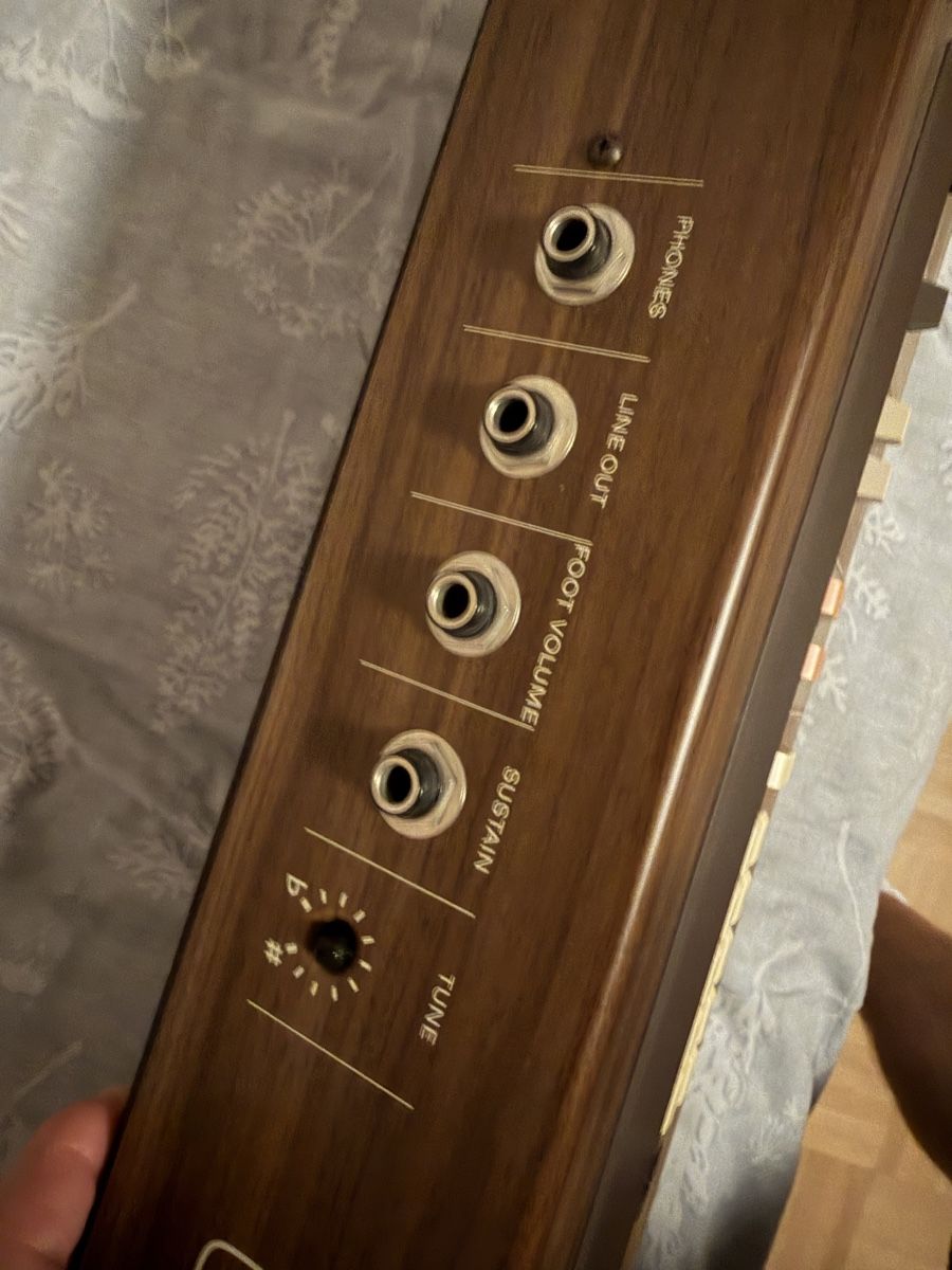 Casio Strumenti musicali: Casiotone 405 vintage Orgel – Usato da Basel venduto da schaeryo 5