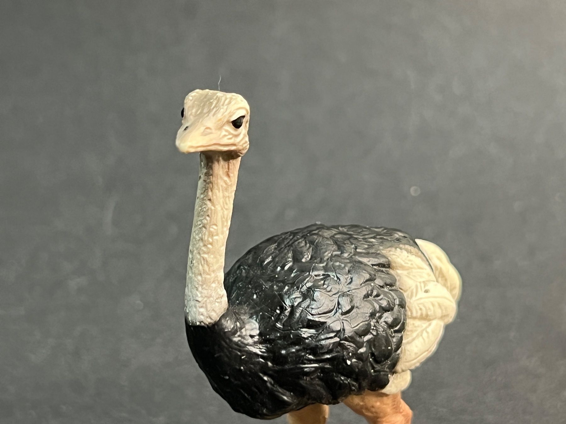 Schleich Figuren: Schleich Strauß und Straussenjunges Strauss – Gebraucht aus Ennetbaden von mapa05 7