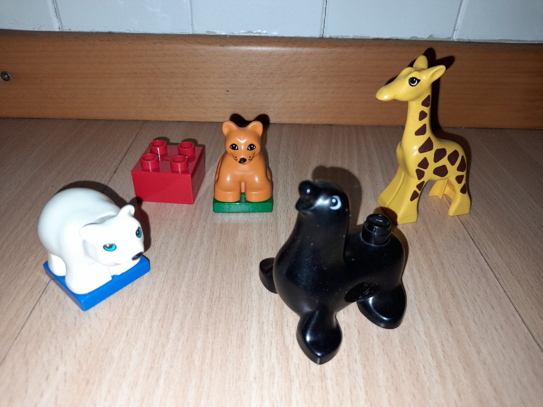 Lego Giocattoli: Lego Duplo Zoo Babys 2660 Klassiker – Usato da Wittenbach venduto da Gugielmo 1