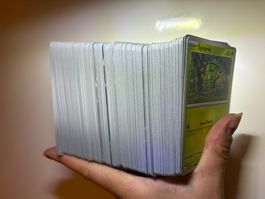 Pokemon Karten Perfect Order 🇬🇧 Lot Holo •Reverse Sammlung
