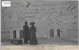 Au bord du Lac Leman - Les Mouettes Möven
