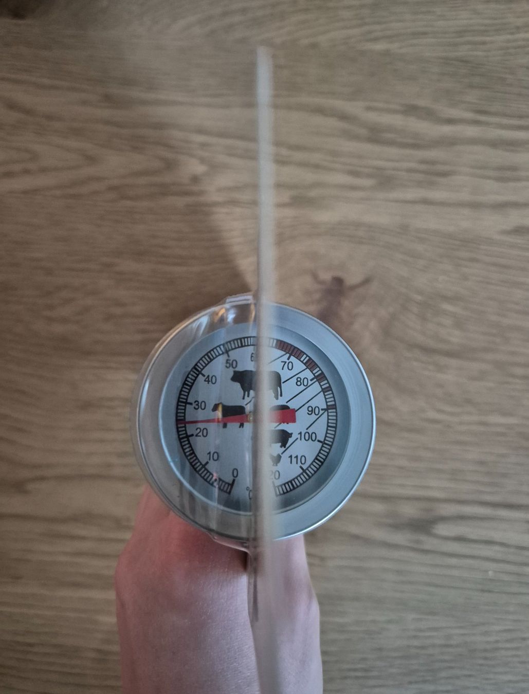 Altro per la casa: Neues Bratenthermometer von Migros Kitchen – Nuovo e nell'imballaggio originale da Rheinau venduto da Jackandjones01 1
