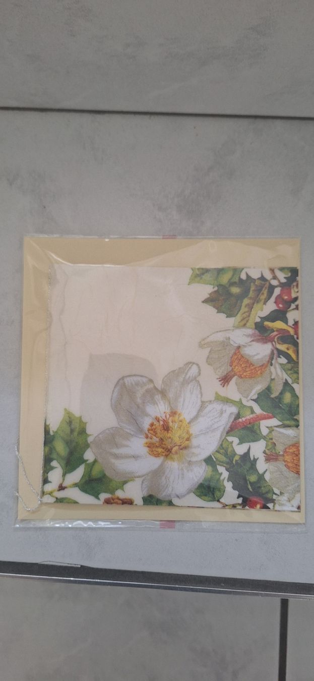 Cartoline: Christrosekarte neu – Nuovo (secondo la descrizione) da Schwyz venduto da cla_8w6t