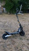 Segway ZT3 pro custom