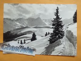 Arosa, Weg zum Arienwald
