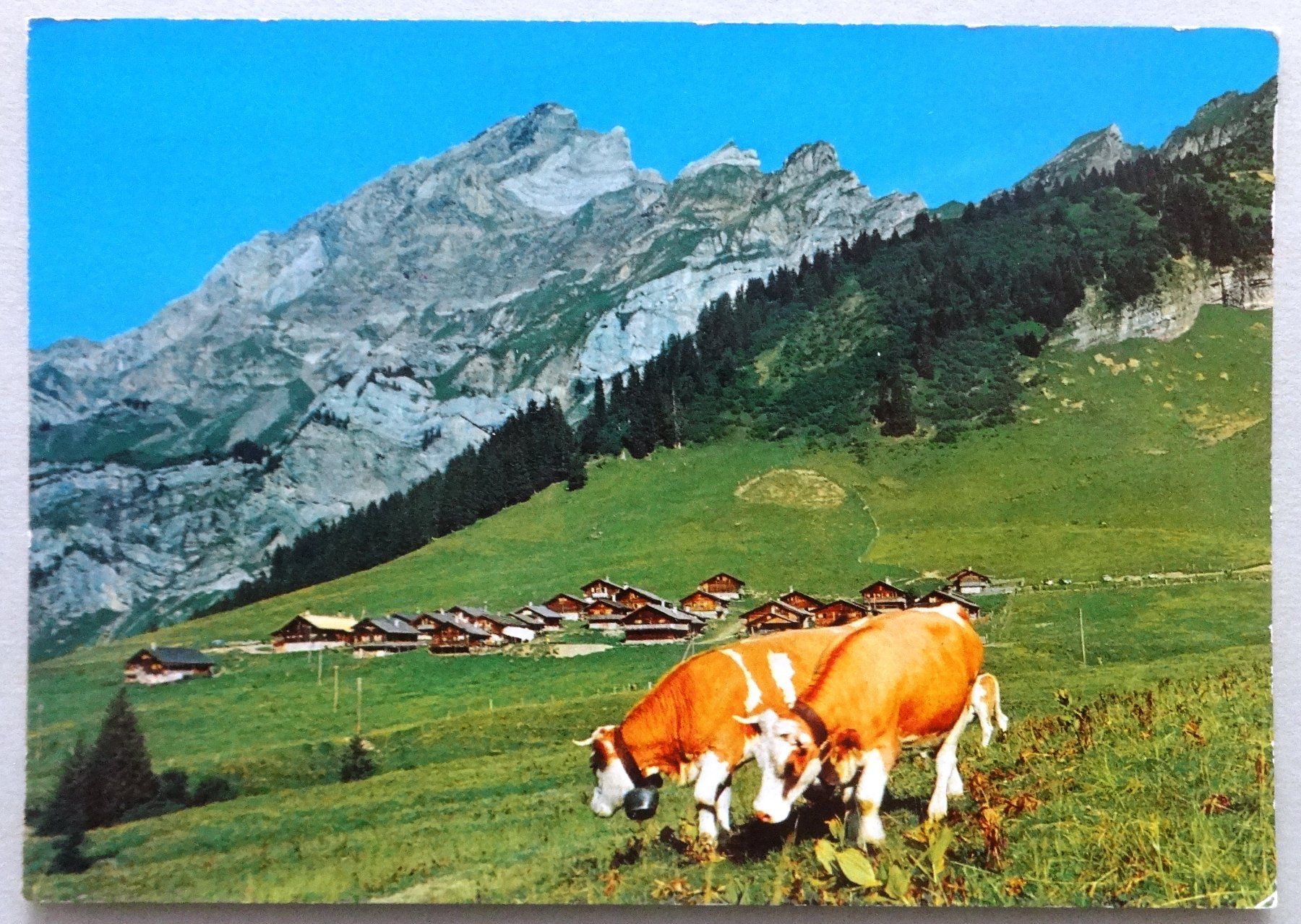 Cartoline postali: Taveyannaz s/Gryon – Usato da Fétigny venduto da Billy2miny