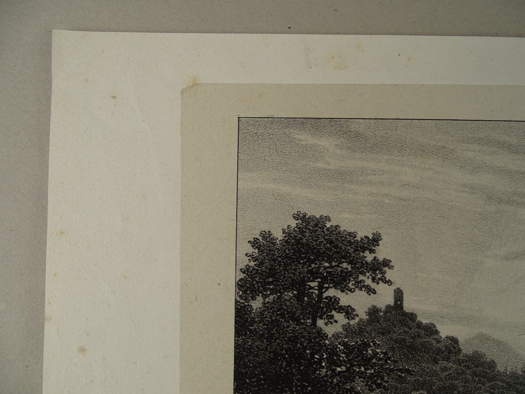 Incisioni: ZOLLBRÜCK INTERLAKEN, LITHOGRAPHIE 1824 – Usato da Grüningen venduto da Kartensammler 5