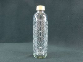 Trinkflasche aus Glas 1 Liter "carry" NEU