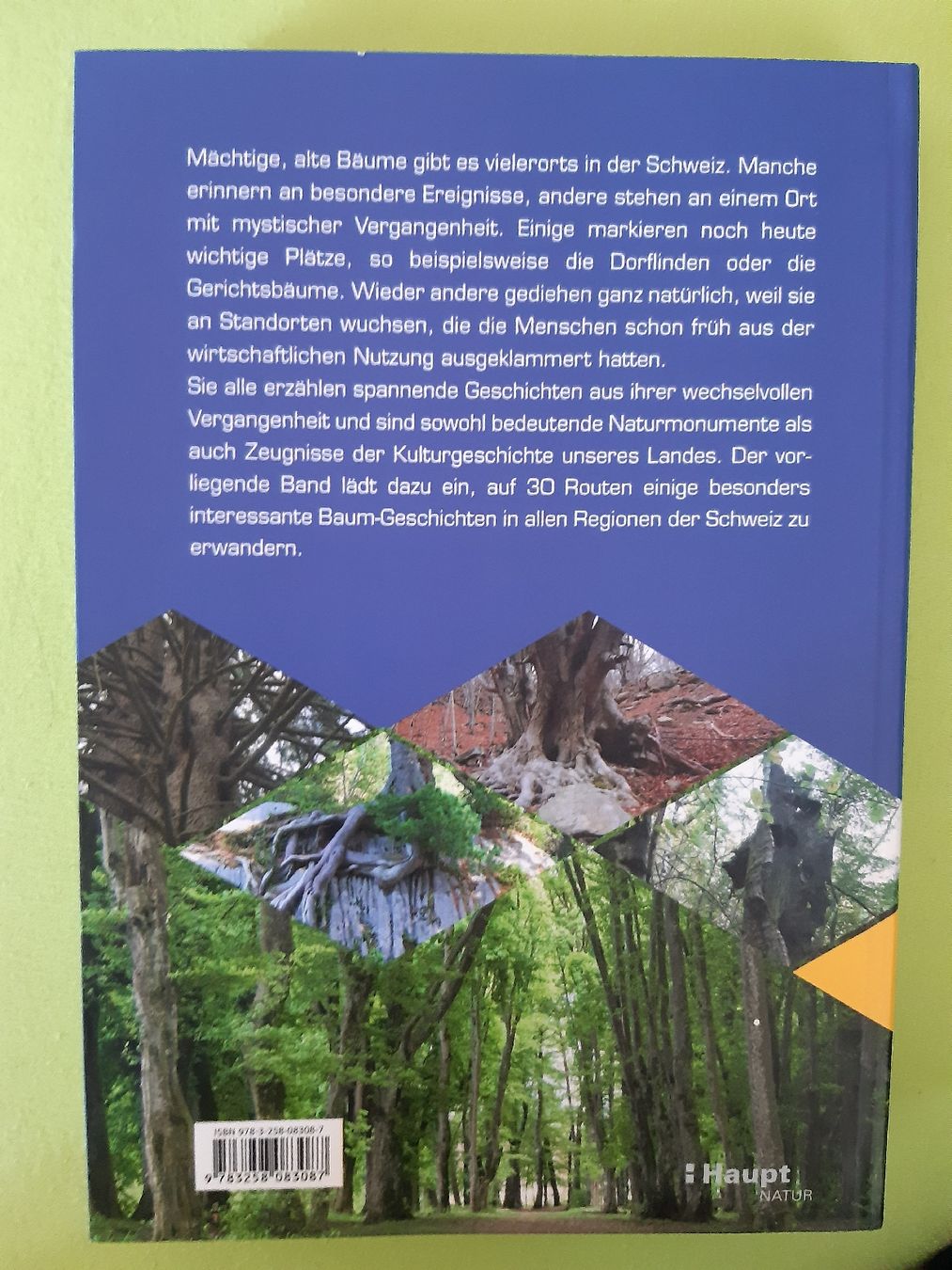 Livres: Baumwanderungen – D'occasion à Bazenheid par batapa 2