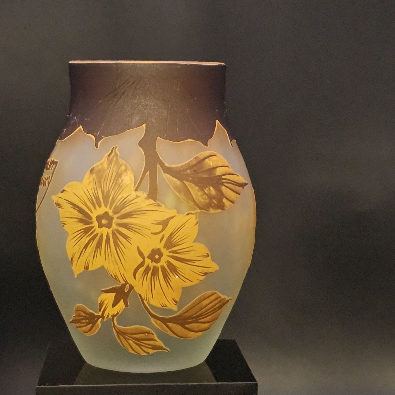 Daum Vasen & Gefässe: Daum Nancy Flowers Acid Etched Cameo – Gebraucht aus Bruettisellen von Collector_Store 1