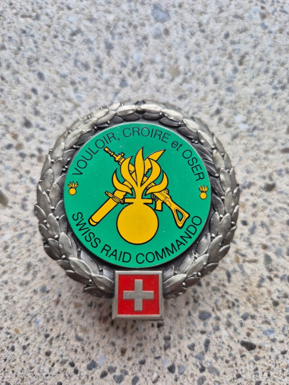 Schweizer Armee Placchette & Badge: *** Beretemblem Swiss Raid Commando RARE ***  – Nuovo (secondo la descrizione) da Riedholz venduto da fr_sIruP