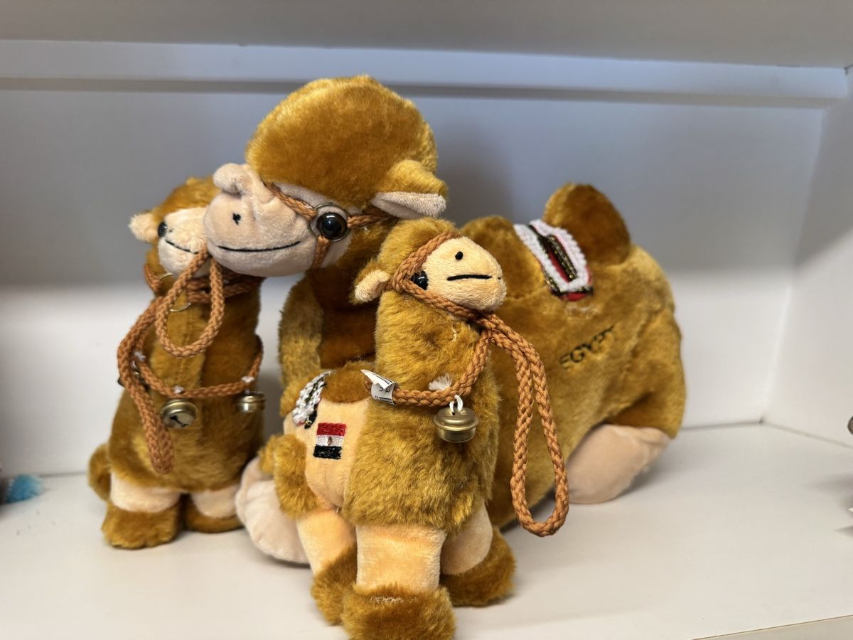 Giocattoli: Plueschtiere Kamel mit Kind neuwertig – Usato da Zürich venduto da cha_zf9f