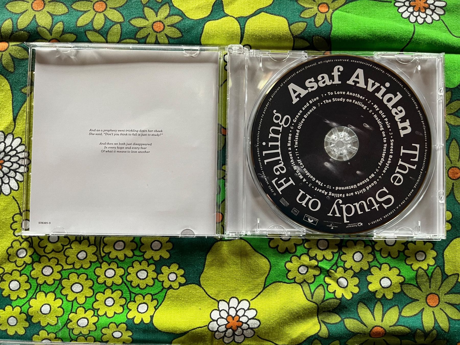 CDs: cd, asaf avidan, the study on falling – Neuf (Voir description) à Emmenmatt par flyrecords 1