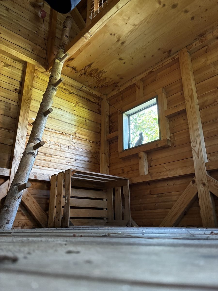 Casette per bambini: Spielhaus zu Verkaufen – Usato da Dörflingen venduto da Dommervogel 9