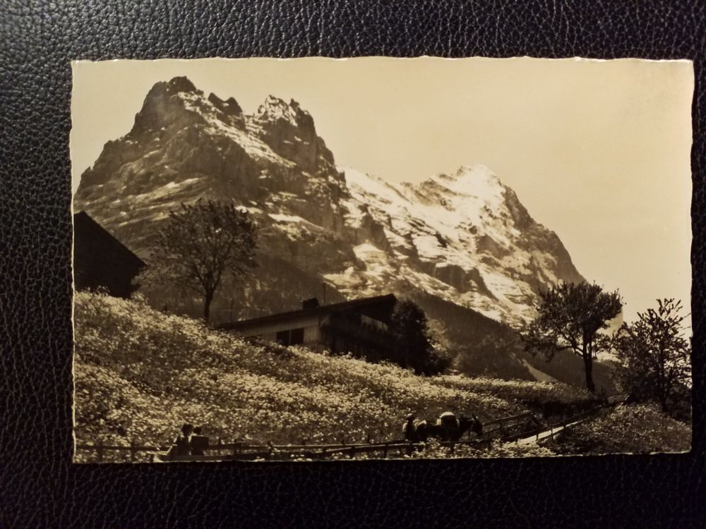 GRINDELWALD Photo E. Gyger Adelboden Kaufen auf Ricardo