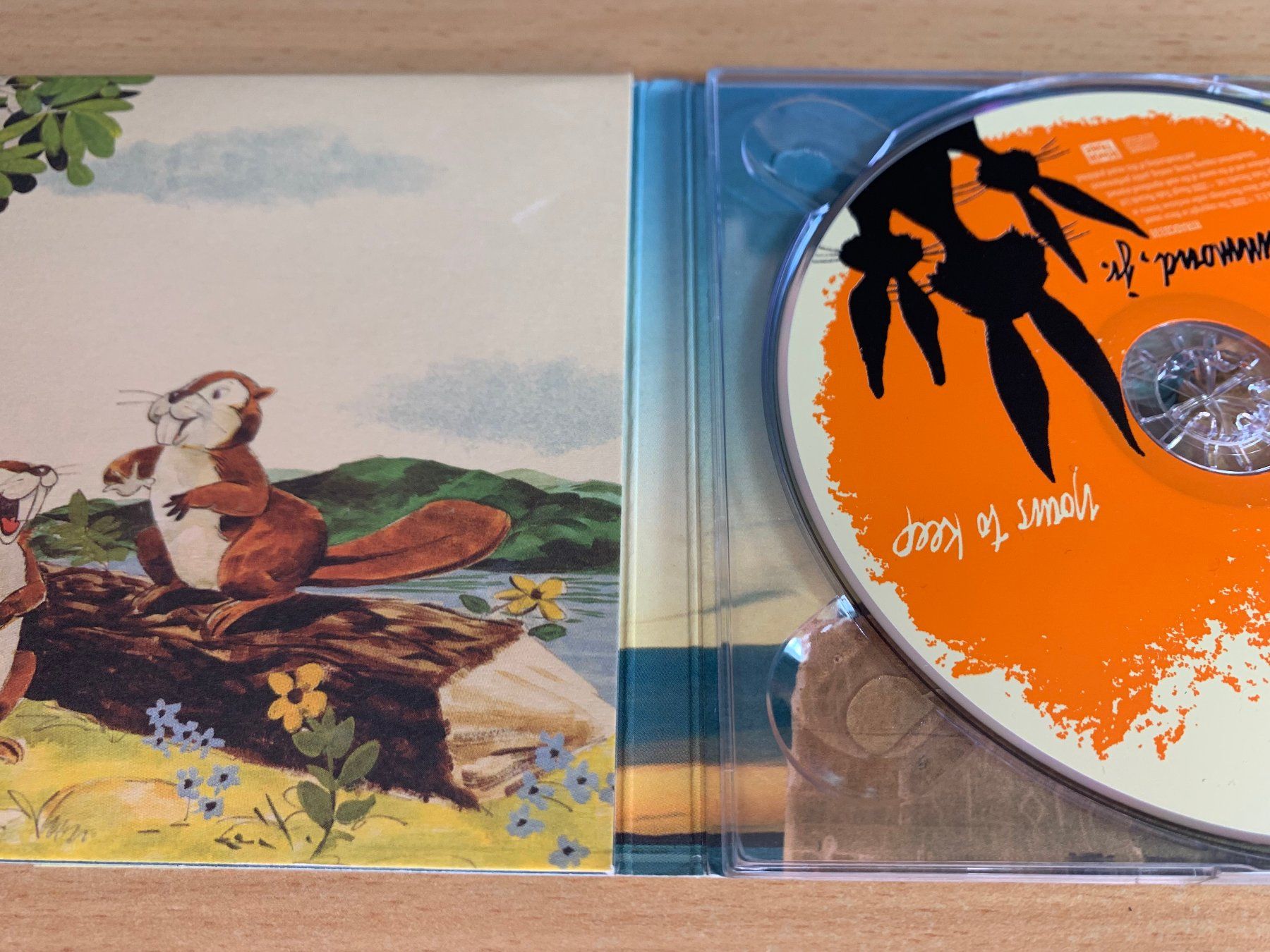 CD: Albert Hammond, Jr. – Yours To Keep – Usato da Rikon im Tösstal venduto da Alpenmutz 2