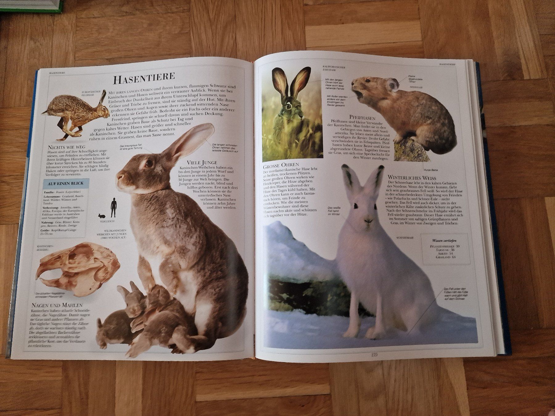 Libri: Tierlexikon – Nuovo (secondo la descrizione) da Bösingen venduto da Soene91 1