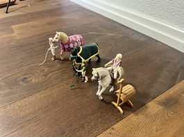 Pferd mit Reiter