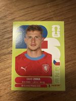 Panini Fifa CZE 8
