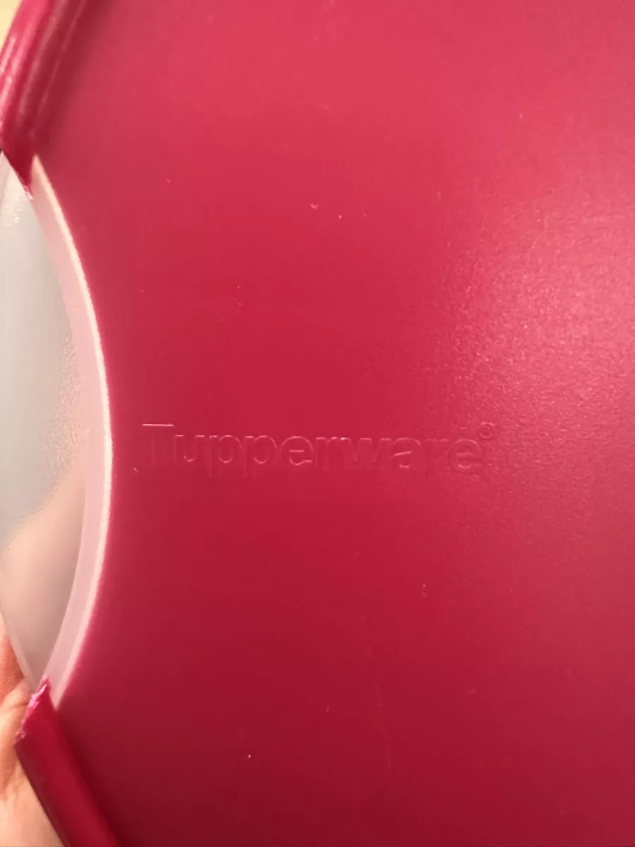 Tupperware Recipients et similaires: Tupperware runde Box – Neuf (Voir description) à Winterthur par Unglaublich321 3
