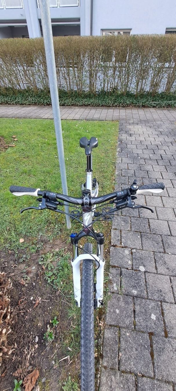 Specialized Biciclette: Damen Mountainbike Specialized – Usato da Hünenberg See venduto da  3