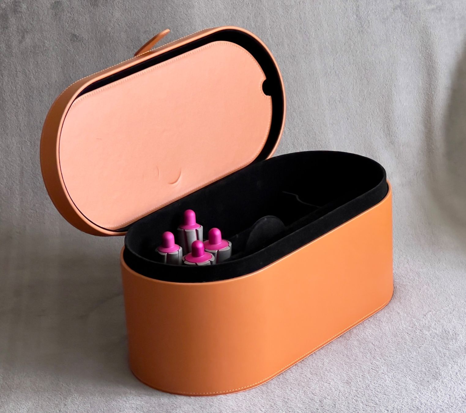 Dyson Borse da donna: Dyson Case mit Zubehör – Usato da Bülach venduto da element70