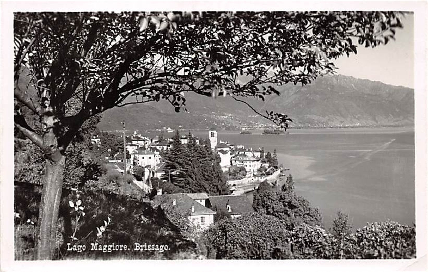 Cartes postales: Brissago, Lago Maggiore – D'occasion à Ottikon b.Kemptth. par Neptun1974