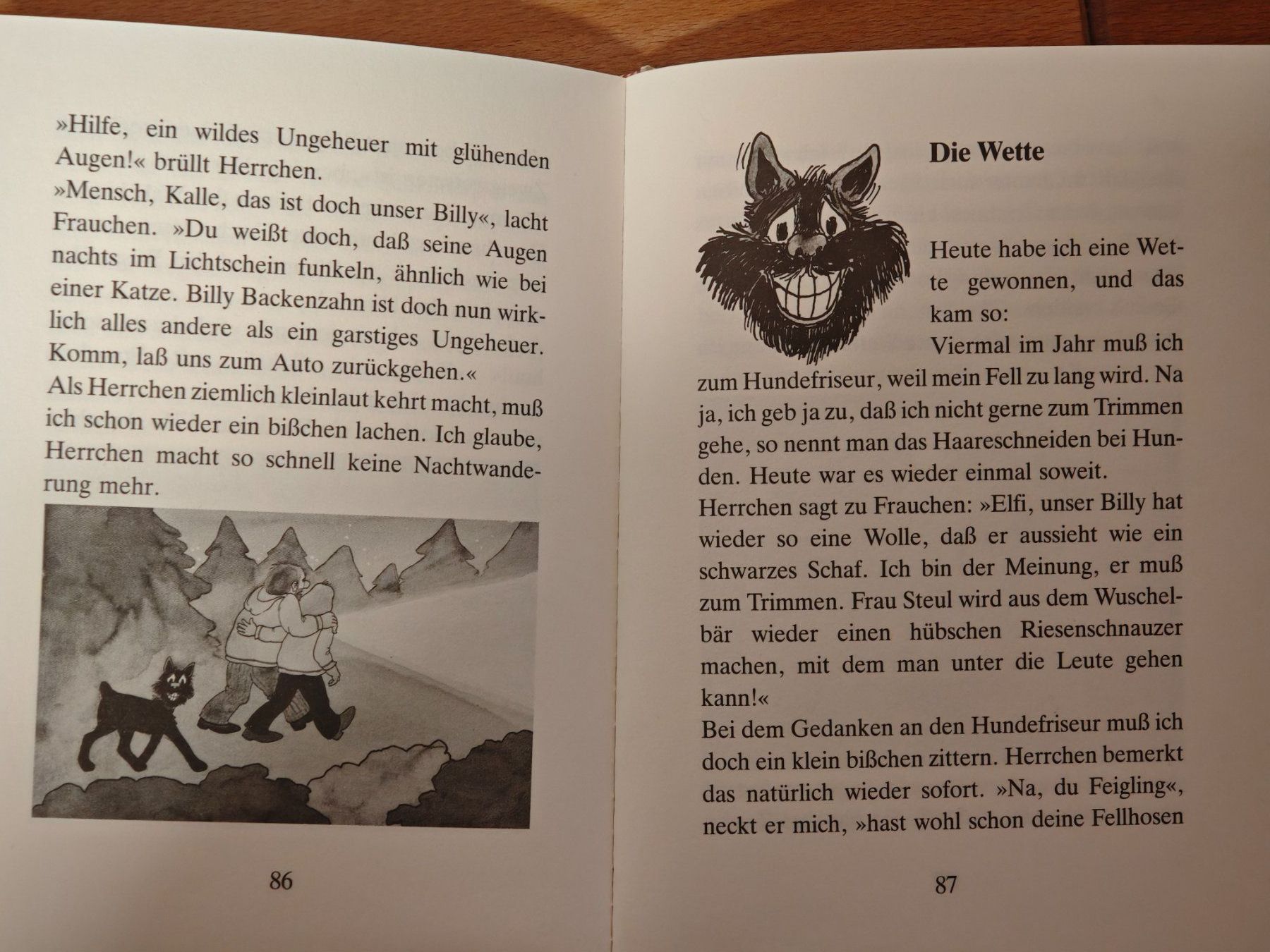 Libri: Kinderbücher Set – Usato da Buchs ZH venduto da Sutoris 9